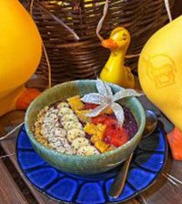 BOWL TEMPORA AÇAI