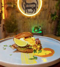 CUCO BENEDICT