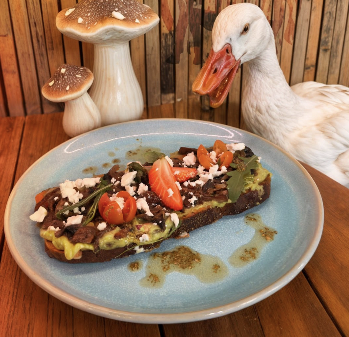 TOSTADA “CHOUPIS